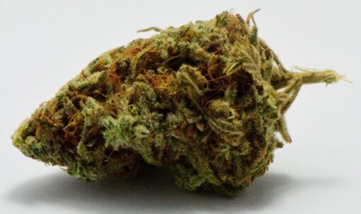 HOLY PUNCH $59 PER OUNCE