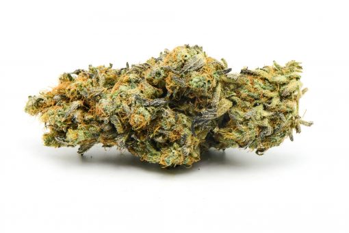 ACAPULCO GOLD AAA++ $135 PER OUNCE