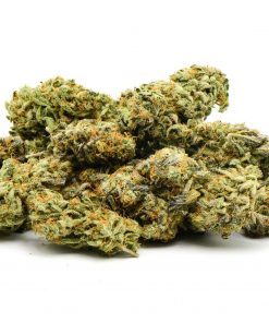 ACAPULCO GOLD AAA++ $135 PER OUNCE