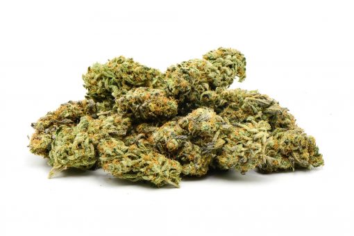 ACAPULCO GOLD AAA++ $135 PER OUNCE